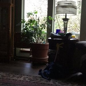 Meet your Posher, Terri